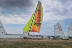 IMG-20241228-WA0101